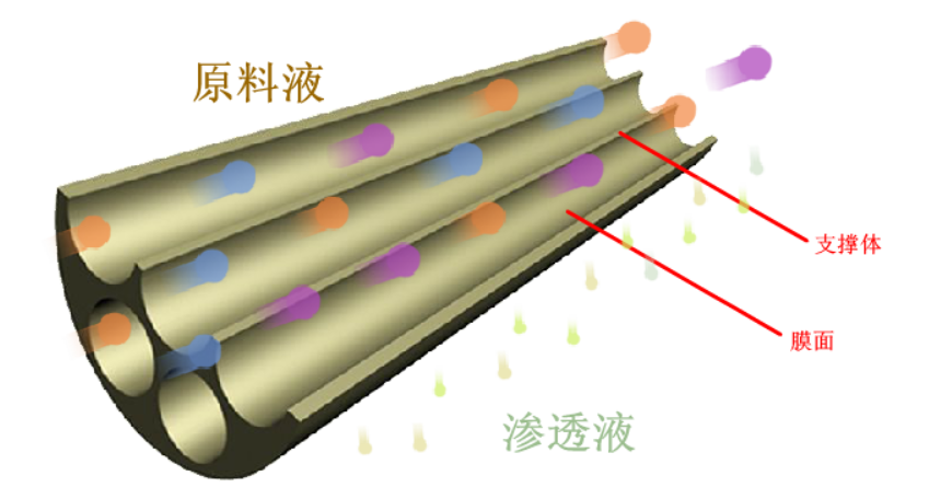 5c637a80b329a.png 1.png